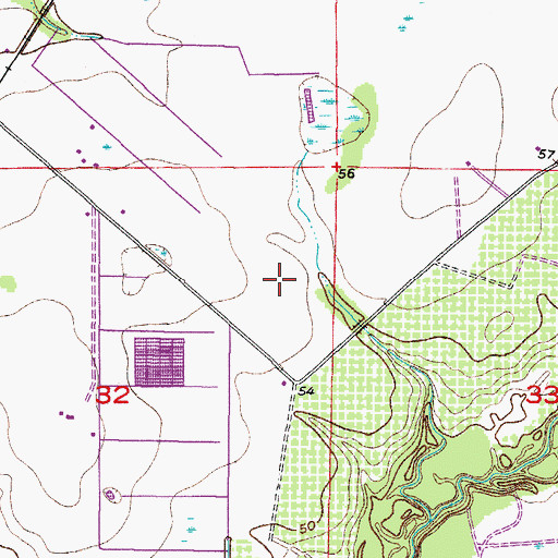 Topographic Map of Bringers Saffold Ranchettes, FL