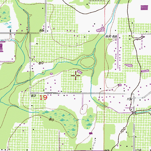 Topographic Map of Brookdale Farms, FL
