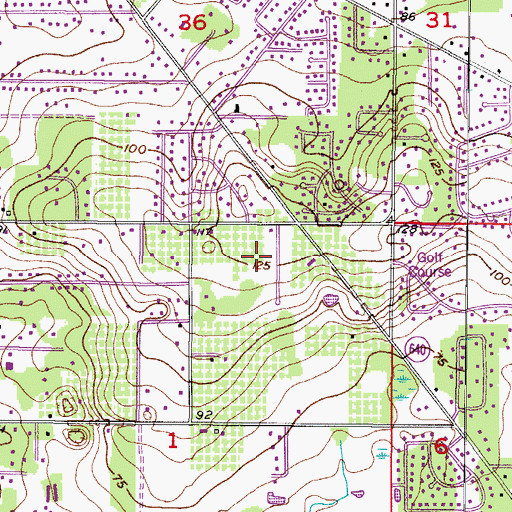Topographic Map of Brooker Trace, FL