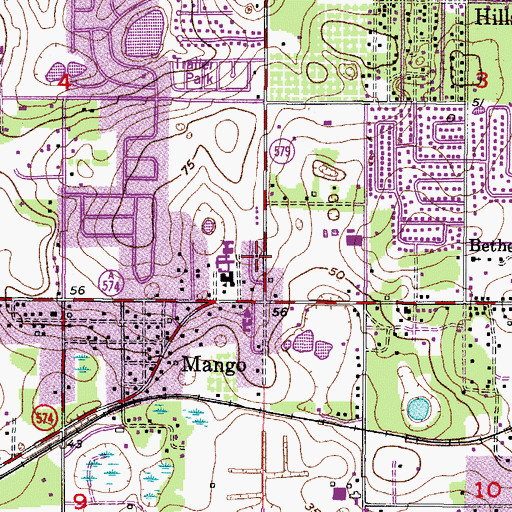 Topographic Map of Brower, FL