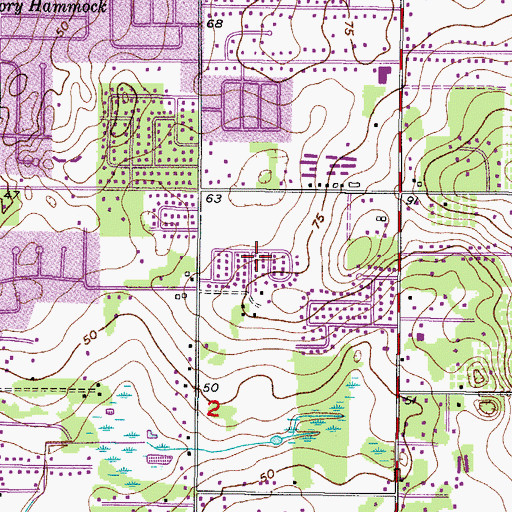 Topographic Map of Bryan Manor, FL