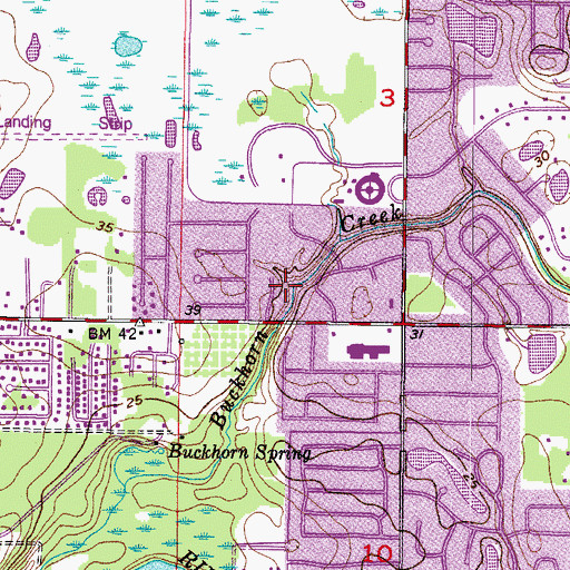 Topographic Map of Buckhorn Creek, FL