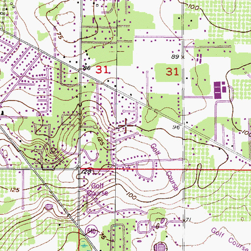 Topographic Map of Buckhorn Golf Club Estates, FL