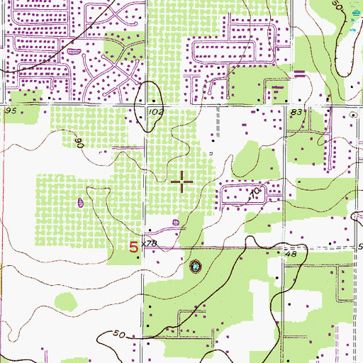Topographic Map of Buckhorn Groves, FL