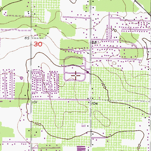 Topographic Map of Buckhorn Oaks, FL