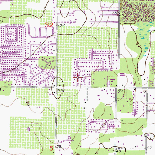 Topographic Map of Buckhorn Springs Mobile Villa, FL