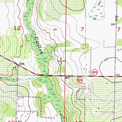 Topographic Map of Carlton Branch, FL