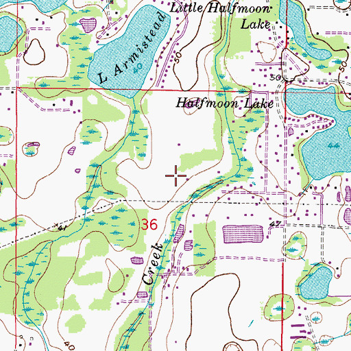 Topographic Map of Carrillon Estates, FL