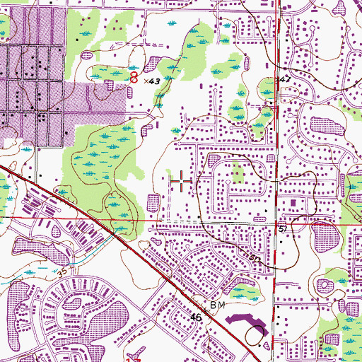 Topographic Map of Carrollwood Cove, FL