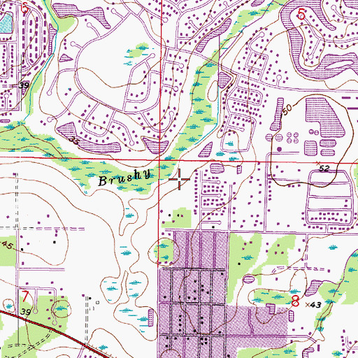 Topographic Map of Carrollwood Creek, FL