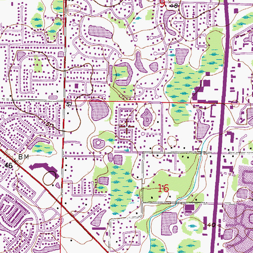 Topographic Map of Carrollwood Estates, FL