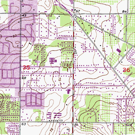 Topographic Map of Cashin Oaks, FL