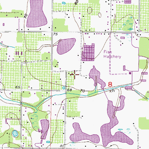 Topographic Map of Chancey, FL