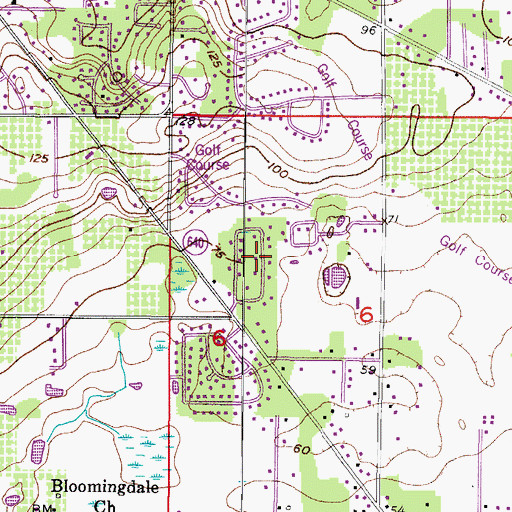 Topographic Map of Chelsea Woods, FL