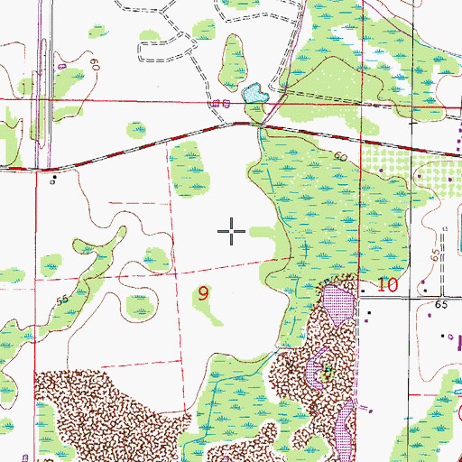 Topographic Map of Cheval Lake Club Villas, FL