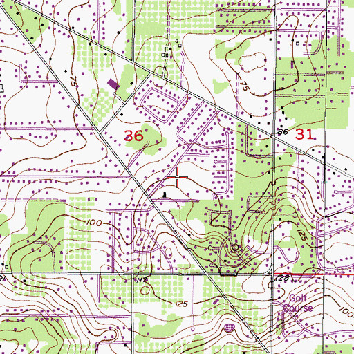 Topographic Map of Chickasaw Meadows, FL