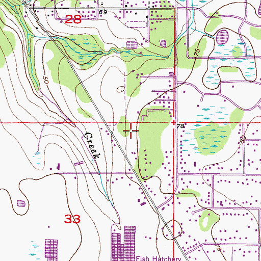 Topographic Map of Chrysopsis Floridana, FL