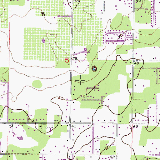 Topographic Map of Cinnamon Trace, FL