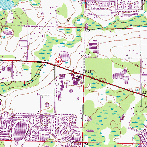 Topographic Map of Citrus Park Commons, FL
