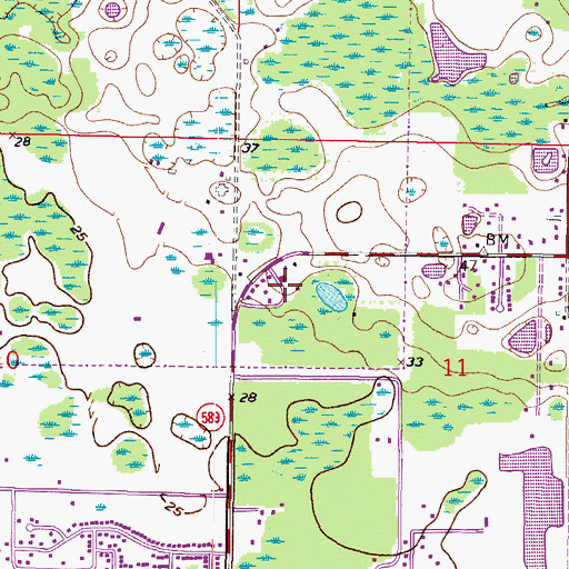 Topographic Map of Citrus Park Crossing, FL