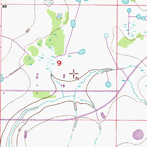 Topographic Map of Clubhouse Estates at Summerfield, FL