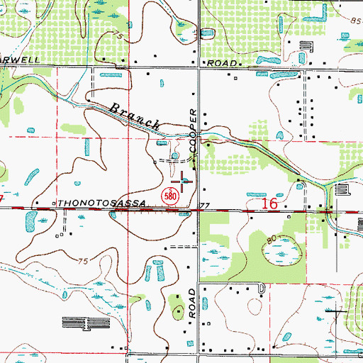 Topographic Map of Cooper Hollow, FL