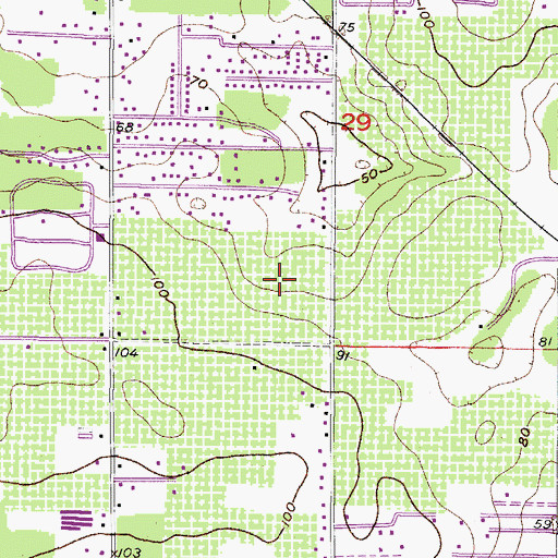 Topographic Map of Copper Ridge, FL