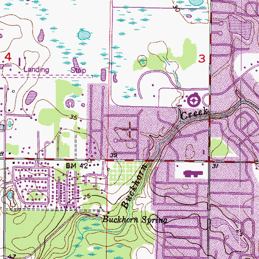 Topographic Map of Countryside Manor, FL