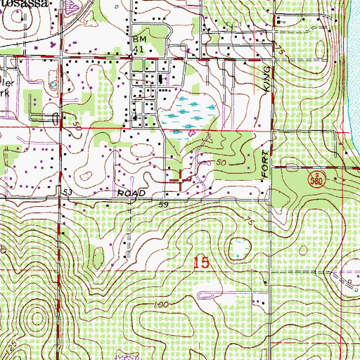 Topographic Map of Cousins Corner, FL