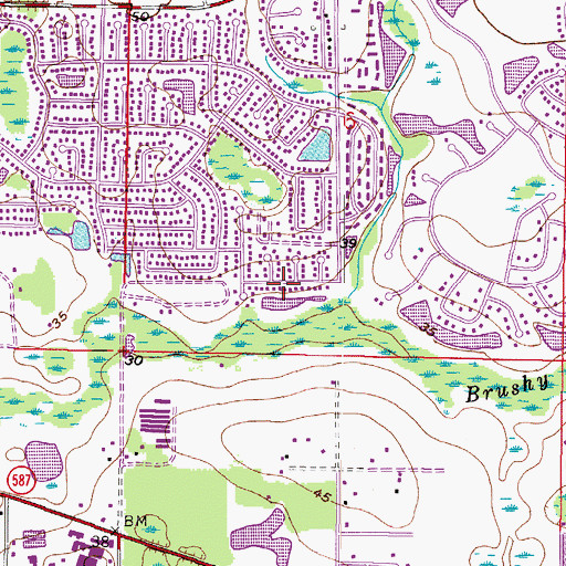 Topographic Map of Creekside, FL