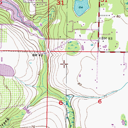 Topographic Map of Creekside, FL