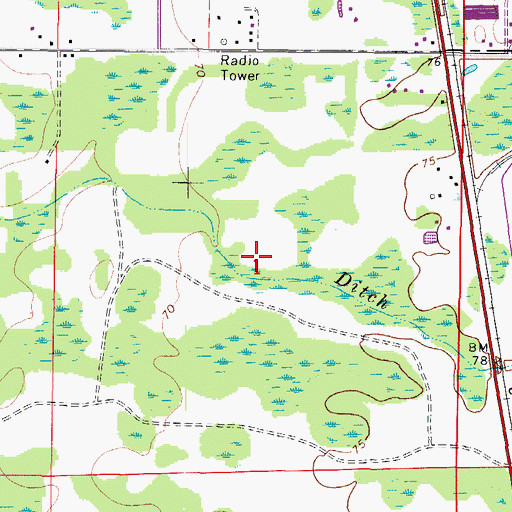 Topographic Map of Crystal Springs Colony Farms, FL