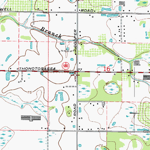Topographic Map of Lanes Corner, FL