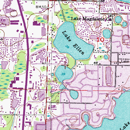 Topographic Map of Lipsey, FL