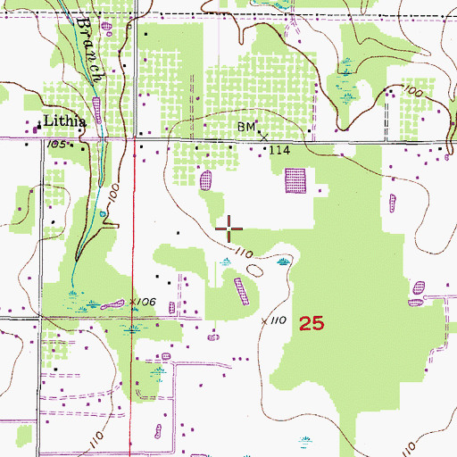 Topographic Map of Lithia Estates, FL