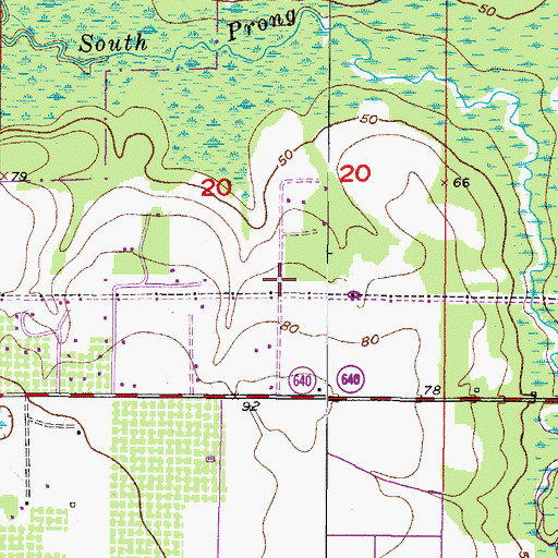 Topographic Map of Lithia Pines, FL