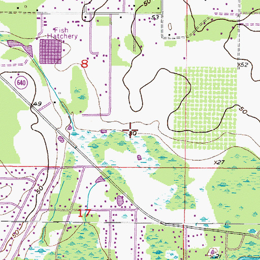 Topographic Map of Lithia Ridge, FL