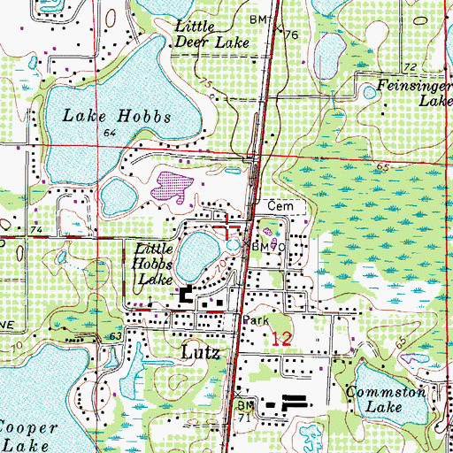 Topographic Map of Lutz Lake, FL