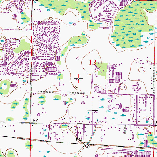 Topographic Map of Lynn Lake, FL