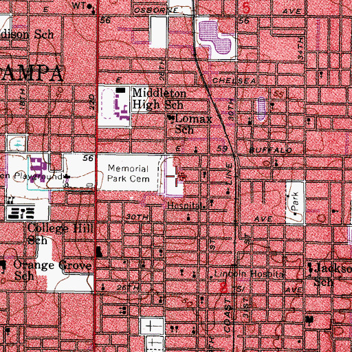 Topographic Map of Martin Luther King Village, FL