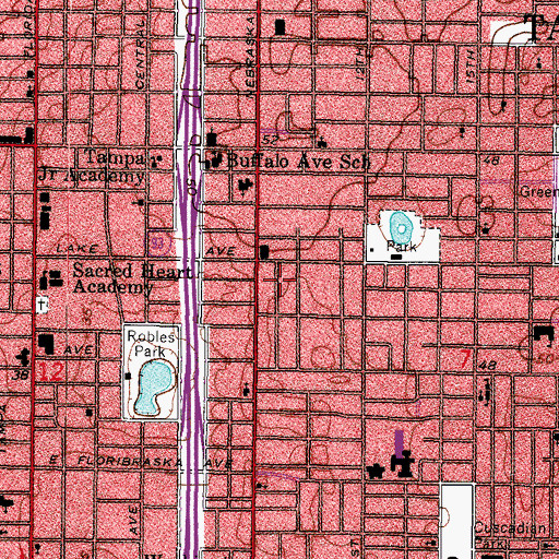 Topographic Map of Francis, FL