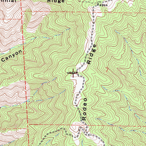 Topographic Map of Rodeo Ridge, CA
