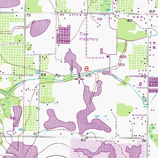 Topographic Map of Gallagher Lakes, FL
