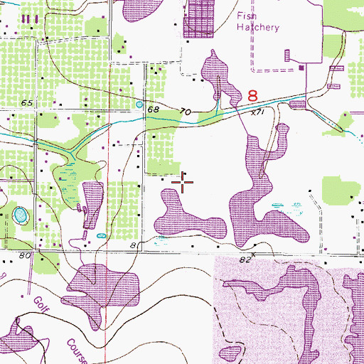 Topographic Map of Gallagher Meadows, FL