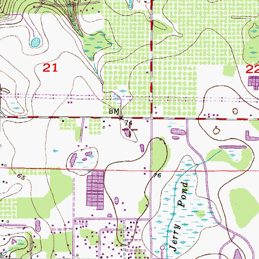 Topographic Map of Goolsby Pointe, FL