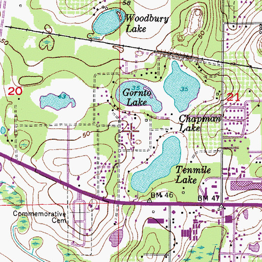 Topographic Map of Gornto Lake, FL