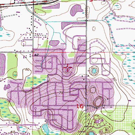 Topographic Map of Green Meadow Estates, FL