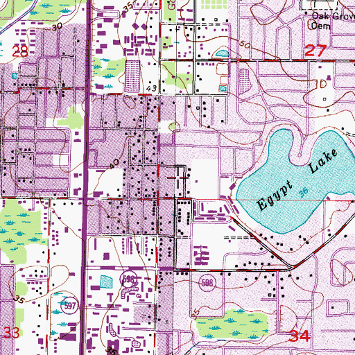 Topographic Map of Hagin Lake Beach, FL