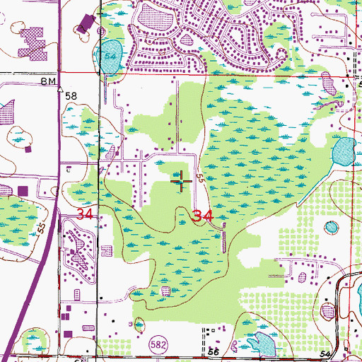 Topographic Map of Hampton Lakes, FL