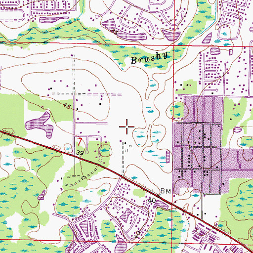 Topographic Map of Hampton Park, FL